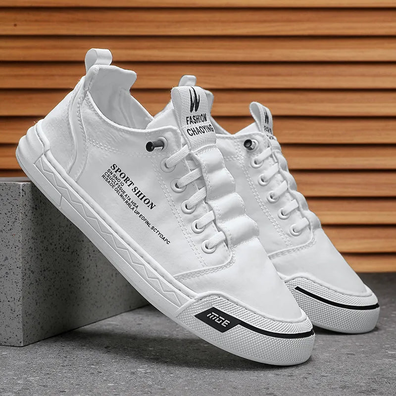 47295404245312|47295404278080|47295404310848|47295404343616|47295404376384|47295404409152